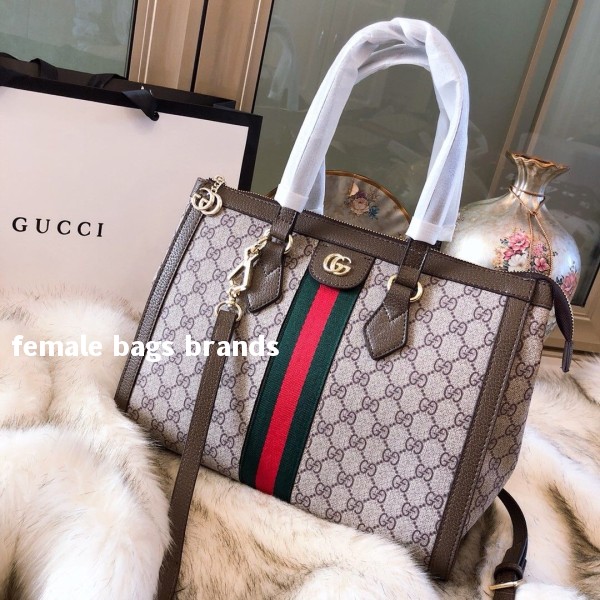 female bags brands